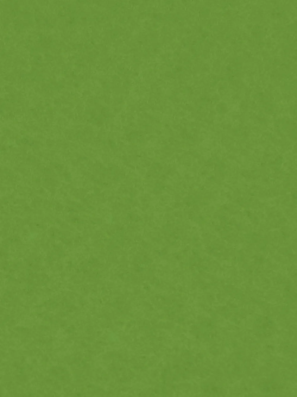 Knorr Prandell Filc ozdobny - - may green, 20 x 30 cm
