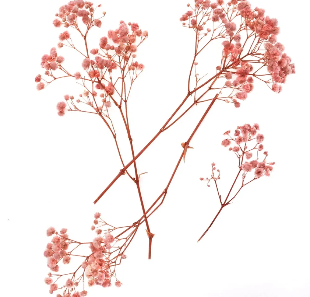 dpCraft Gałązki gipsówki - - light pink 15-20 cm 4 szt. > Kwiaty I Ozdoby Roślinne
