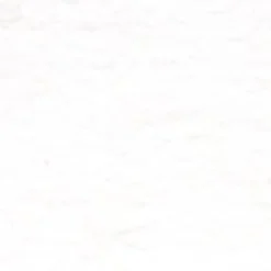 Holbein Gwasz Artists’ Gouache - - Permanent White, 15 ml