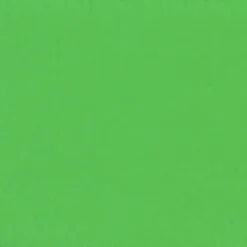 Holbein Gwasz Artists’ Gouache - - Permanent Green Light, 15 ml