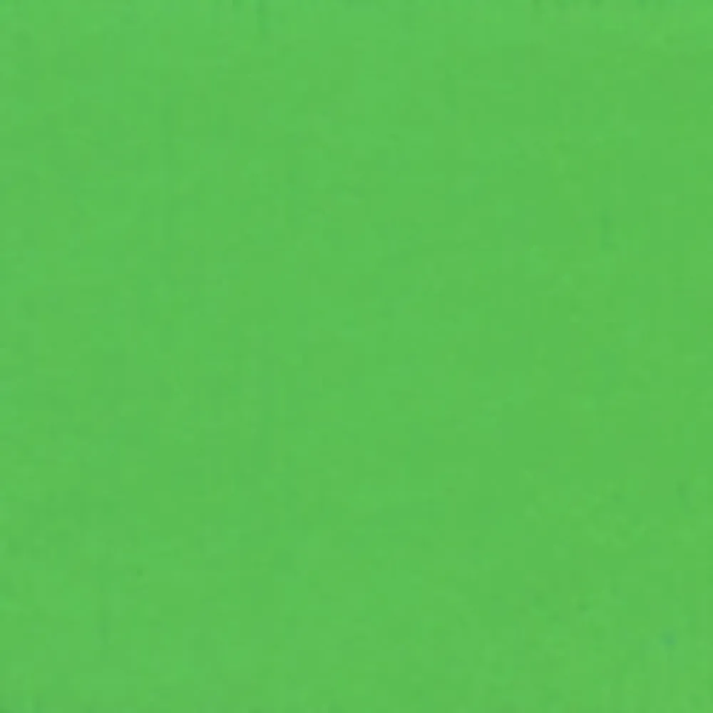 Holbein Gwasz Artists’ Gouache - - Permanent Green Light, 15 ml