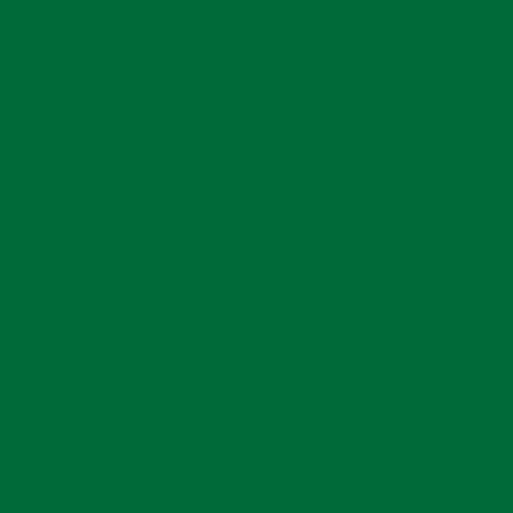 Holbein Gwasz Artists’ Gouache Irodori - - Evergreen, 15 ml > Farby Gwasze I Tempery