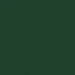 Holbein Gwasz Artists’ Gouache Irodori - - Pine Tree Green, 15 ml
