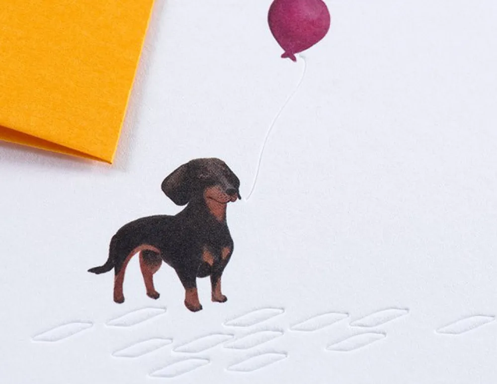 Gmund Kartka okolicznościowa A6 - - Traces at Lake Sausage Dog