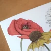Hi Little Kartka okolicznościowa - - Świeczki > Kartki Okolicznościowe