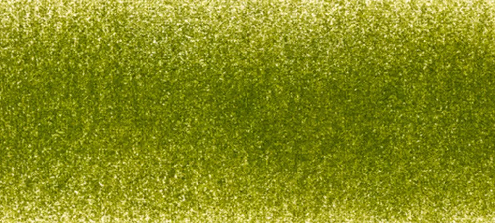 Derwent Kredka Chromaflow - - 1700, Foliage > Kredki