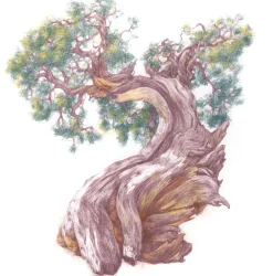 Derwent Kredka Drawing - - 2300 Heather