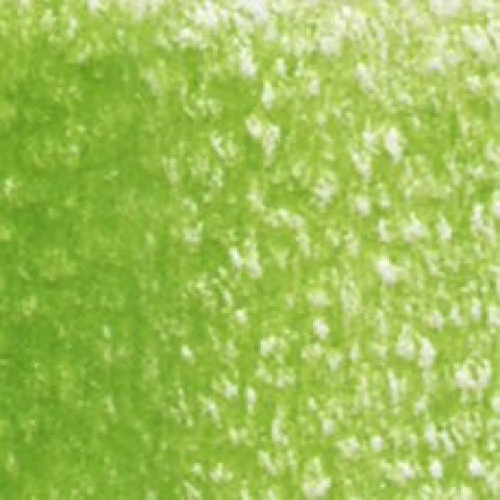 Holbein Kredka ołówkowa Artists' - - 291, Leaf Green
