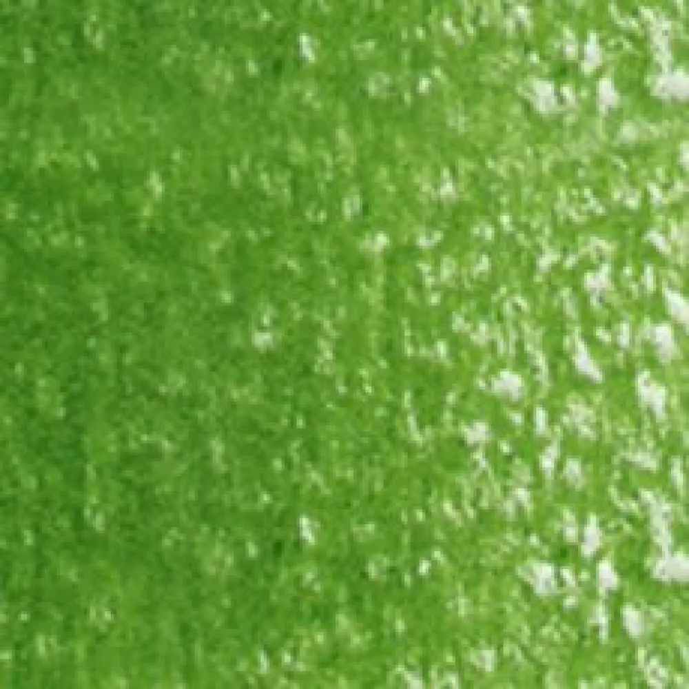 Holbein Kredka ołówkowa Artists' - - 262, Sap Green