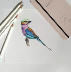 Tombow Kredka ołówkowa Irojiten - - LG8, Porcelain Blue > Kredki