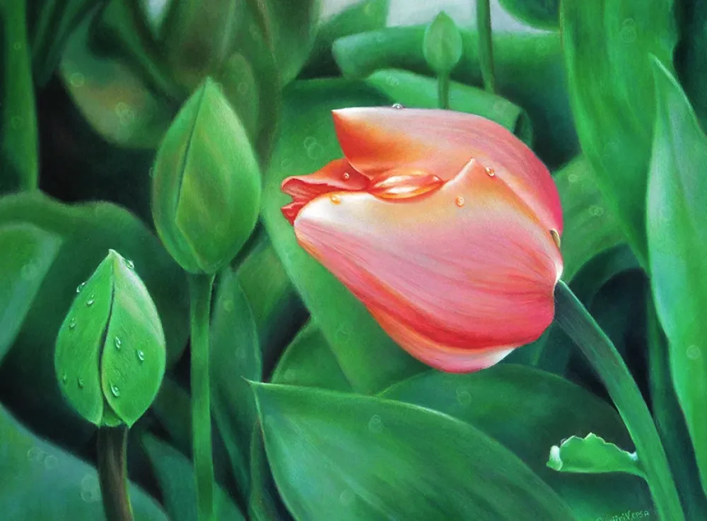 KOH-I-NOOR Kredka ołówkowa Polycolor - - 602, Currant Red
