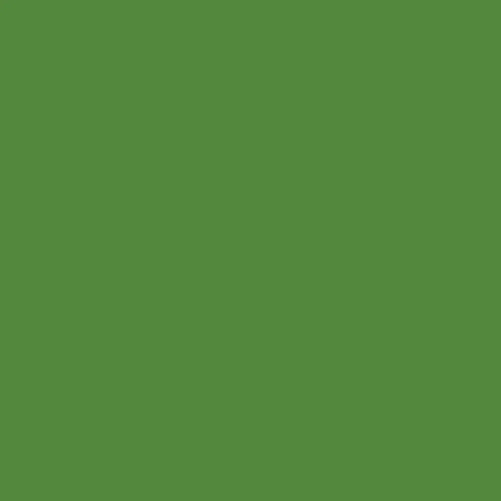 Liquitex Marker akrylowy - - Dark Olive 2 mm