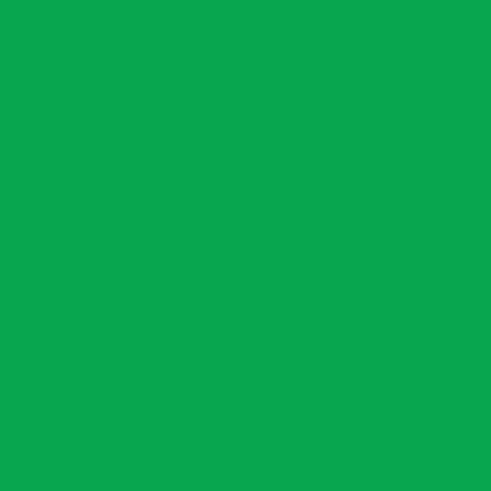 Liquitex Marker akrylowy - - Green 2 mm