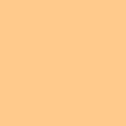 Liquitex Marker akrylowy - - Tan 8 mm