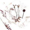 dpCraft Mini bukiet suszonych kwiatów Miss Mauve - - 20 cm > Kwiaty I Ozdoby Roślinne