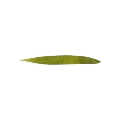 Graf Von Faber-Castell Naboje do piór wiecznych - - Olive Green, 6 szt. > Naboje Atramentowe