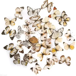 dpCraft Naklejki foliowe Motyle - - Black & White 40 szt.
