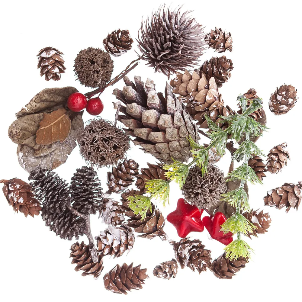 dpCraft Naturalne elementy - - 50 g > Kwiaty I Ozdoby Roślinne