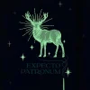 Moleskine Notatnik w linię Harry Potter Patronum 13 x 21 cm - - twarda okładka 100g/m2 > Notatniki W Linie