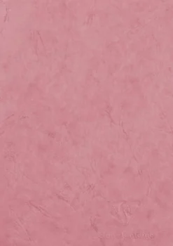 Clairefontaine Notes gładki Age Bag A5 - - Pink 90 g 96 stron > Notatniki Gładkie