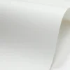 Bio Top 3 Papier 250g - Next, A4