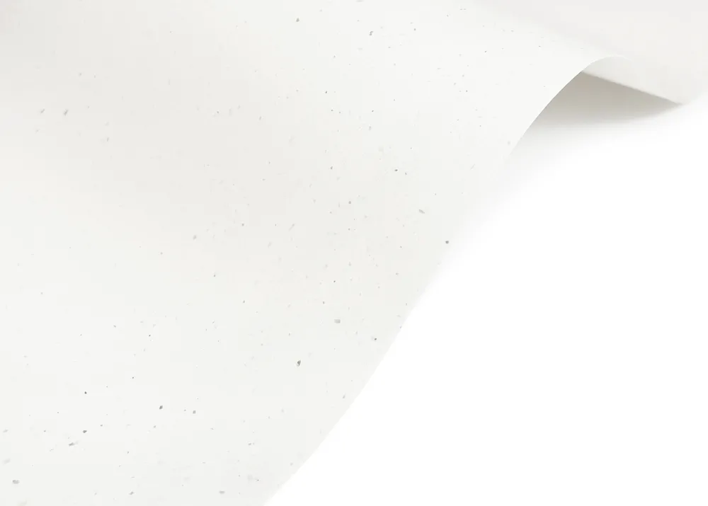 Arjowiggins Papier Curious Particles 240g - White Java złamana biel A4