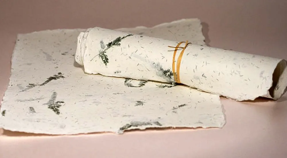 Kalander Papier czerpany - - asparagus, gładki, A4