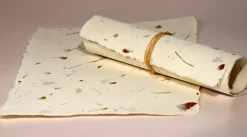 Kalander Papier czerpany - - cebula i trawa, gładki, A4 > Papiery Czerpane