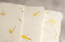 Kalander Papier czerpany - - nagietek, gładki, A5 > Papiery Czerpane