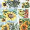 ITD Collection Papier do decoupage A4 - - ryżowy, R1225