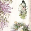 ITD Collection Papier do decoupage A4 - - ryżowy, R1174