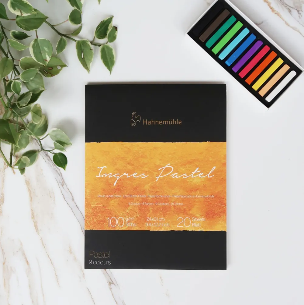 Hahnemuhle Papier do pasteli Ingres 24 x 31 cm - Hahnemühle - White 100 g/m2 20 ark. > Papier Do Pasteli