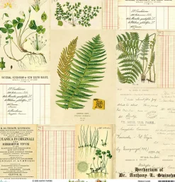 Mintay by Karola Papier do scrapbookingu 30,5 x 30,5 cm - Mintay - Botany 04