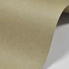 Schoellershammer Papier ekologiczny 350g - - brązowy A4