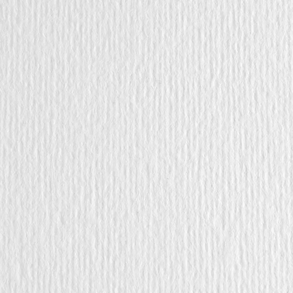 Fabriano Papier Elle Erre 220g - - Bianco, biały, B1 > Papiery Ekologiczne|Papiery Fakturowane