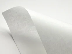 Fedrigoni Papier Pergamenata 230g - Bianco biały A4