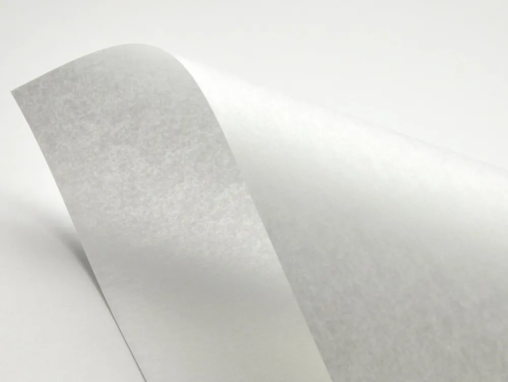 Fedrigoni Papier Pergamenata 230g - Bianco biały A4