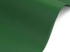 Fedrigoni Papier Sirio Color 140g - Foglia zielony A4