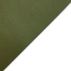 Fedrigoni Papier Tintoretto Ceylon 250g - Wasabi oliwkowy A4