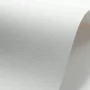Fedrigoni Papier Tintoretto 250g - Gesso biały A4