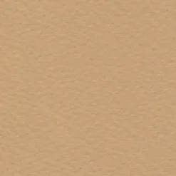 Fabriano Papier Tiziano 160g - - Mandorla, migdałowy, B1