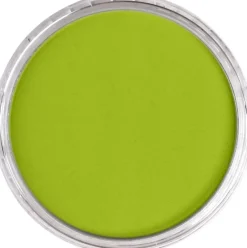 PanPastel Pastela sucha - 680.5 Bright Yellow Green
