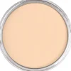 PanPastel Pastela sucha - 740.8 Burnt Sienna Tint > Pastele