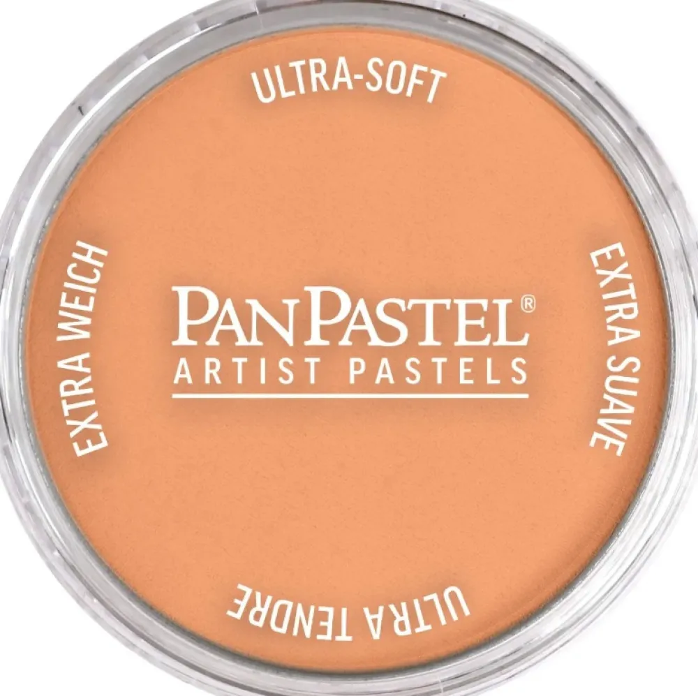 PanPastel Pastela sucha - 740.7 Burnt Sienna Light > Pastele