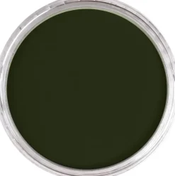 PanPastel Pastela sucha - 660.5 Chromium Oxide Green ><noscript><img width=