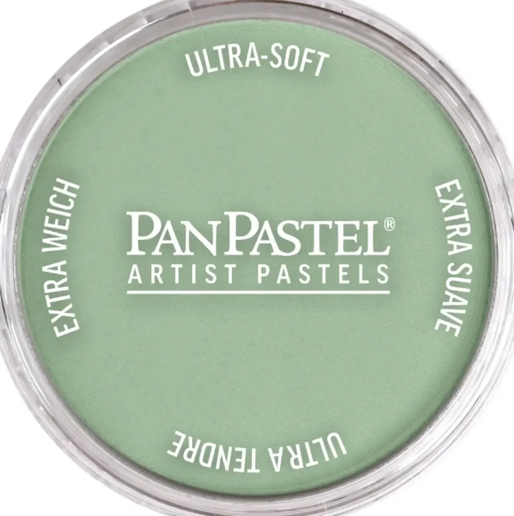 PanPastel Pastela sucha - 660.8 Chromium Oxide Green Tint > Pastele