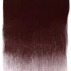 PanPastel Pastela sucha - 350.1 Crimson Extra Dark