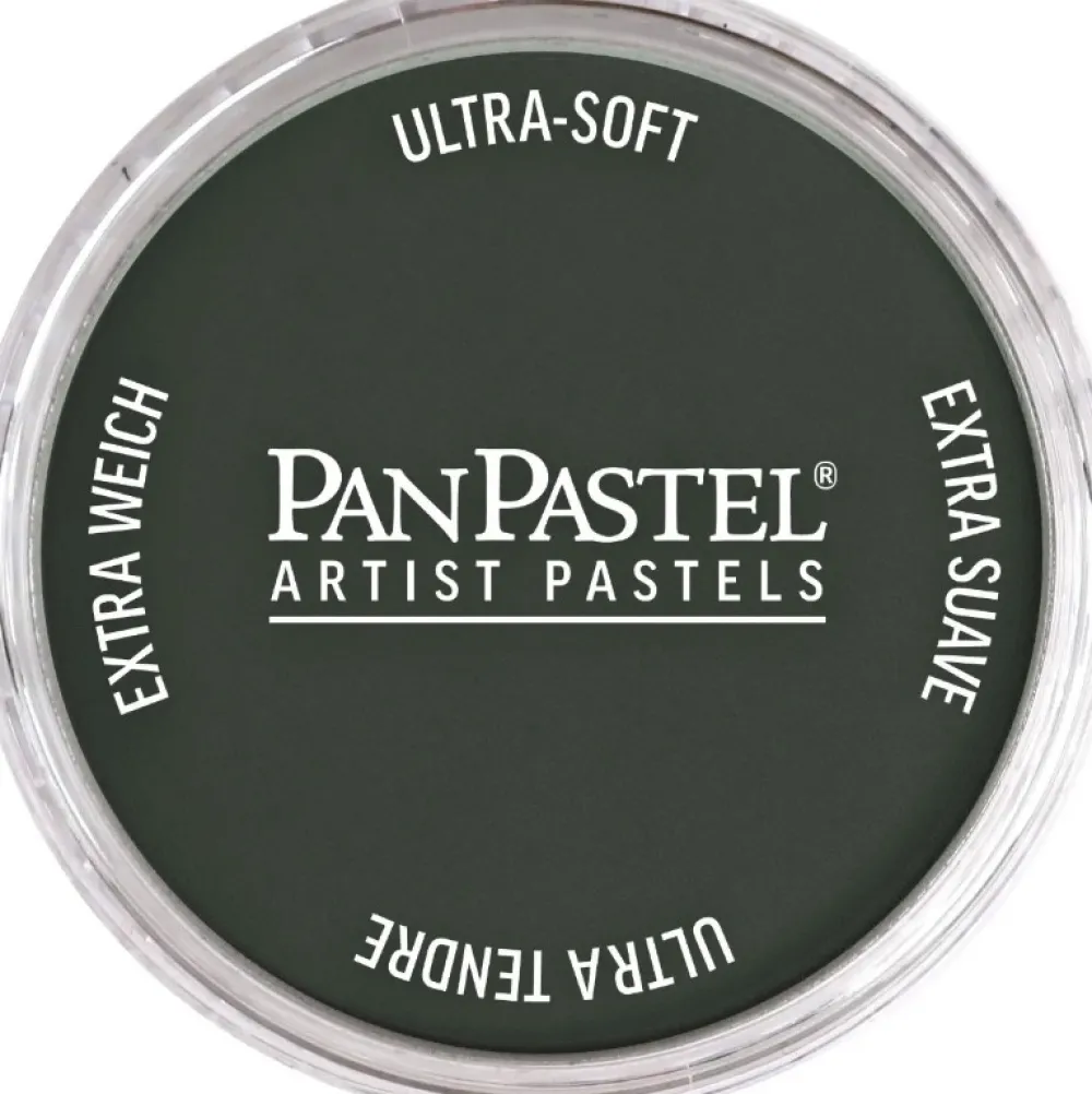 PanPastel Pastela sucha - 820.2 Neutral Gray Extra Dark 2