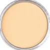 PanPastel Pastela sucha - 280.8 Orange Tint