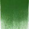 PanPastel Pastela sucha - 640.3 Permanent Green Shade